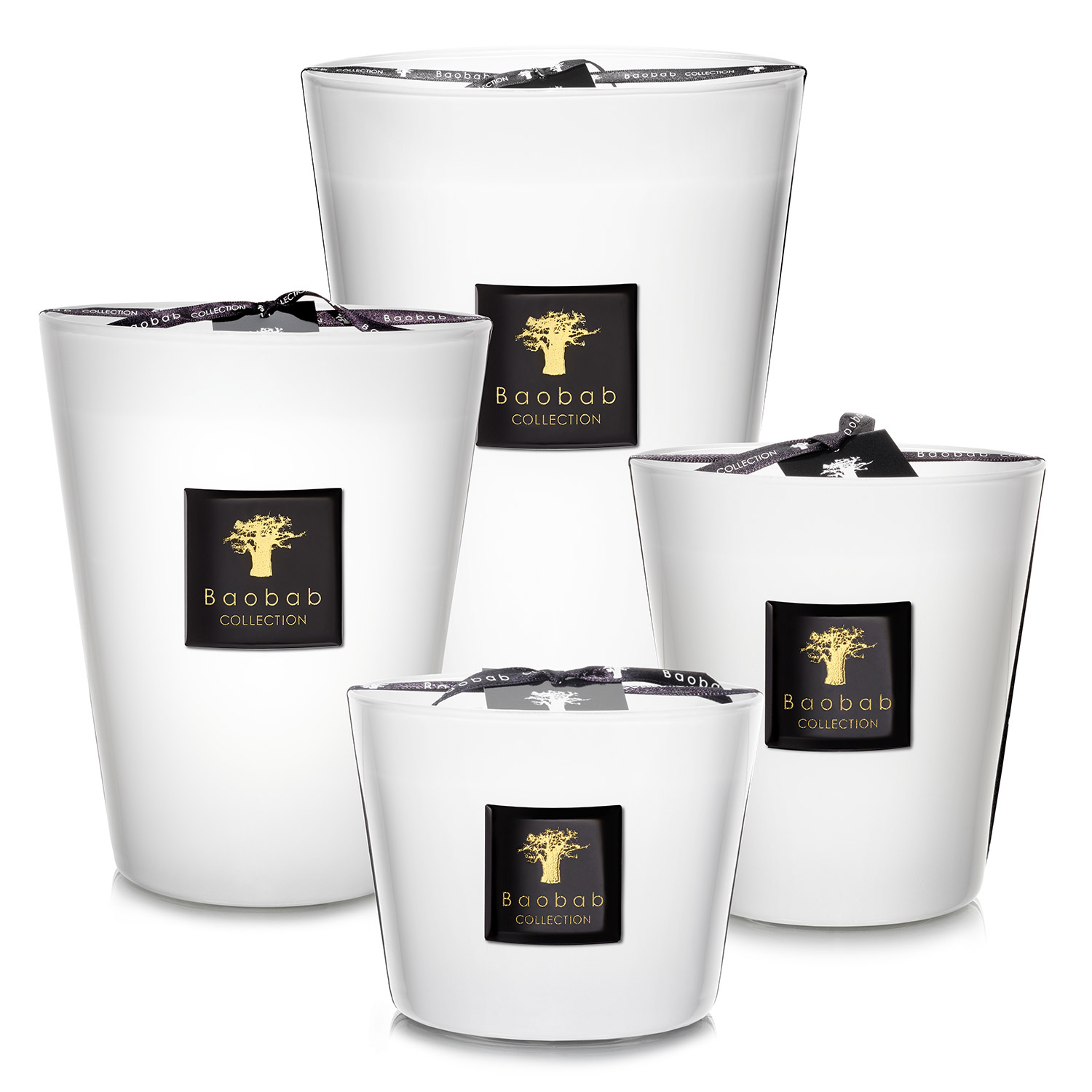 Baobab Pierre de Lune Max 97698