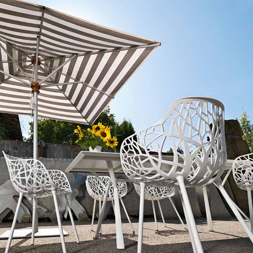 fast RadiceQuadra rechteckig 4 23526