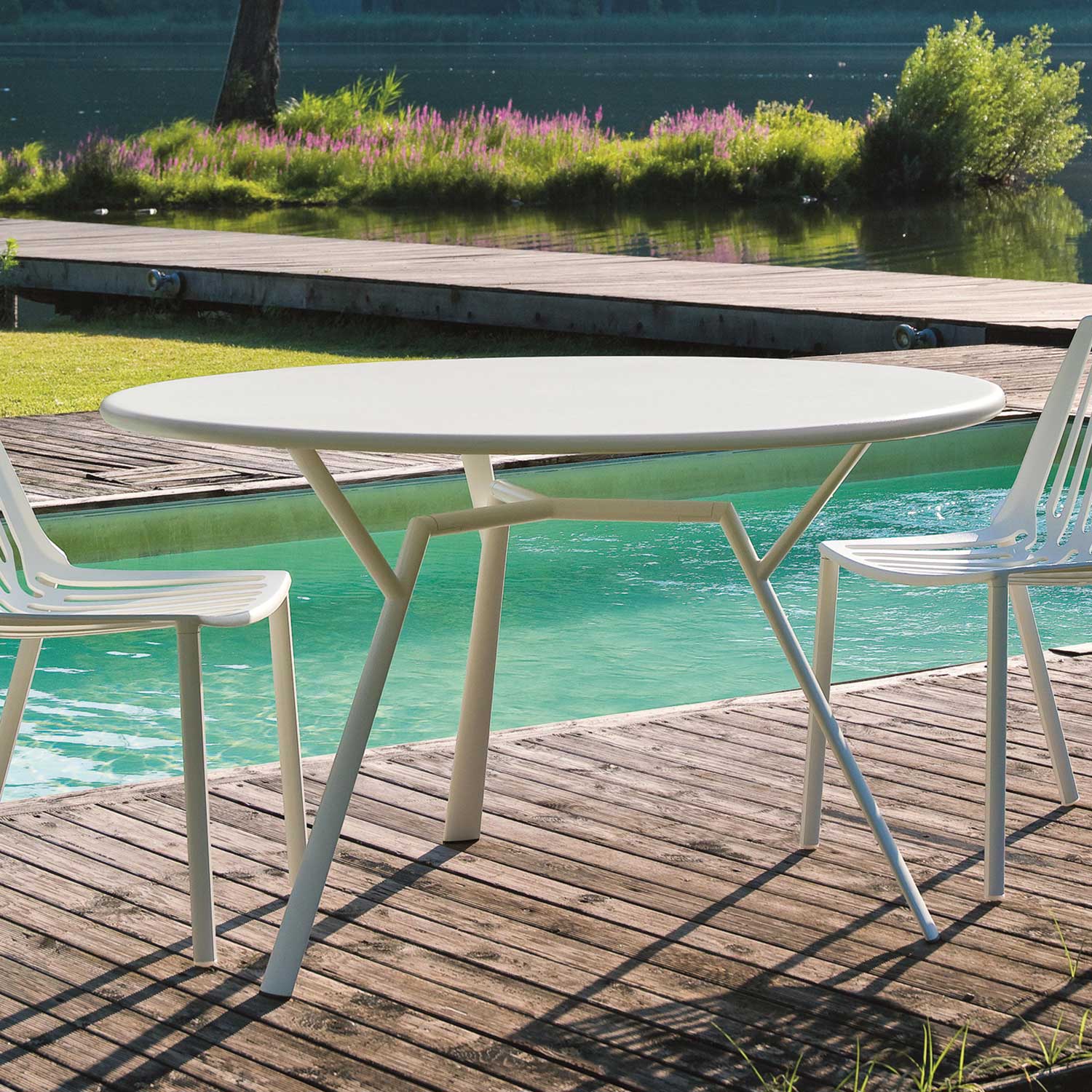 fast RadiceQuadra rund 23527