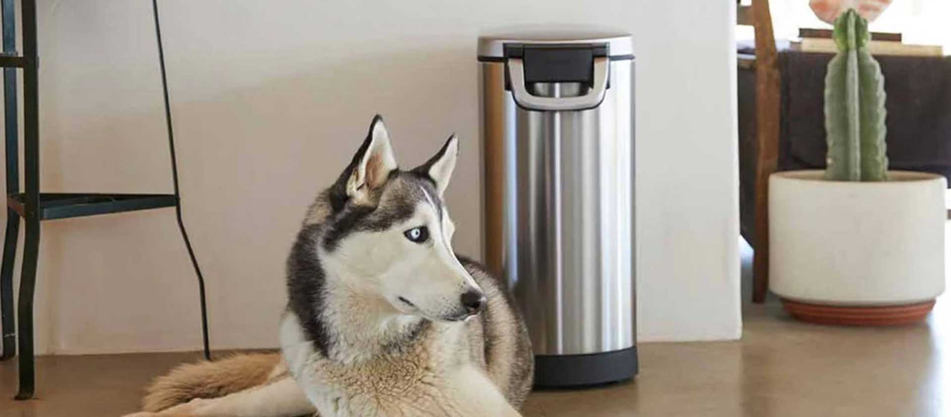 Kategorie Headerbanner Hunde Accessoires