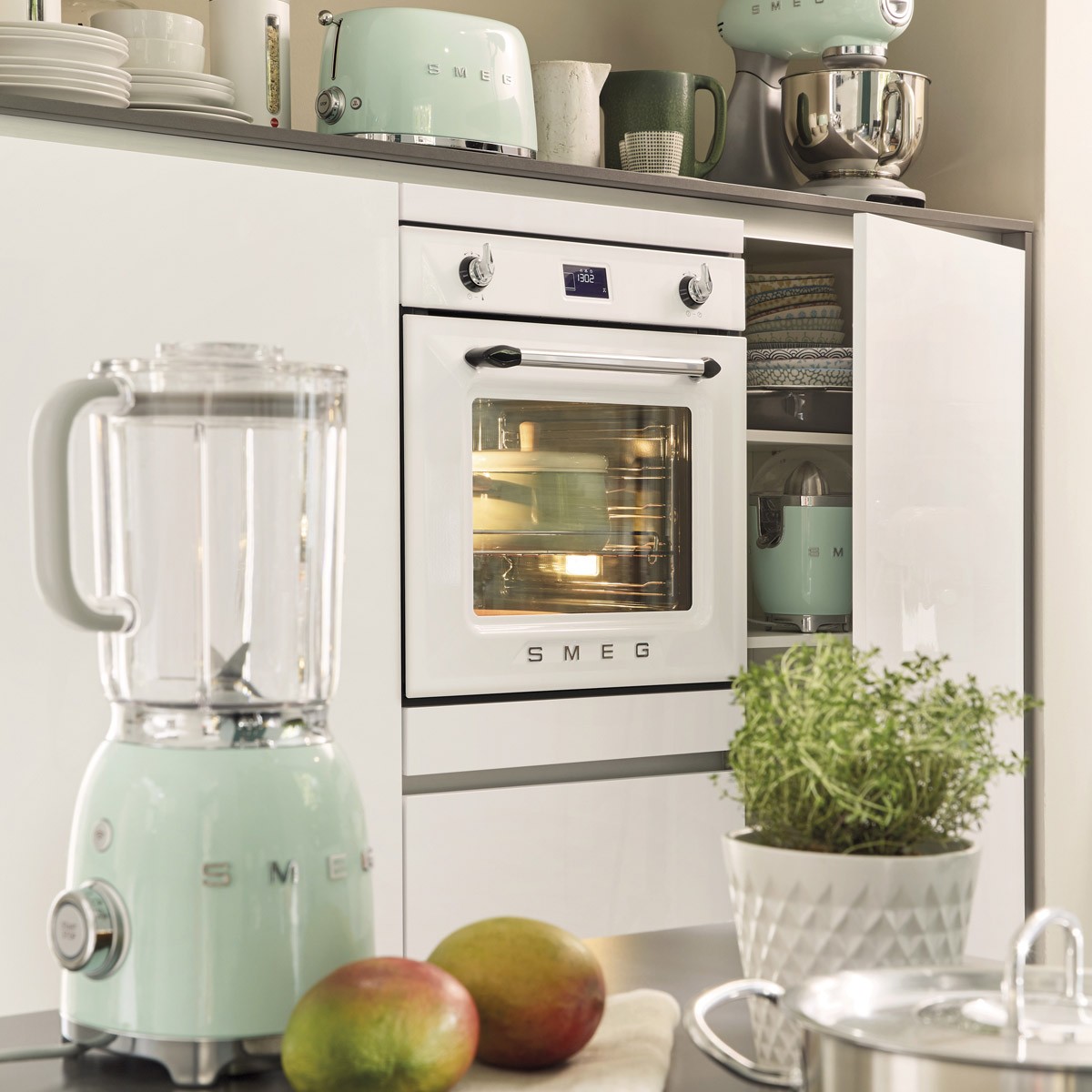 BLF01PGEU 55665