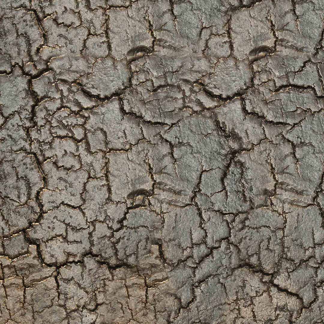 ethnicraft pentagon konsole material close up 88112