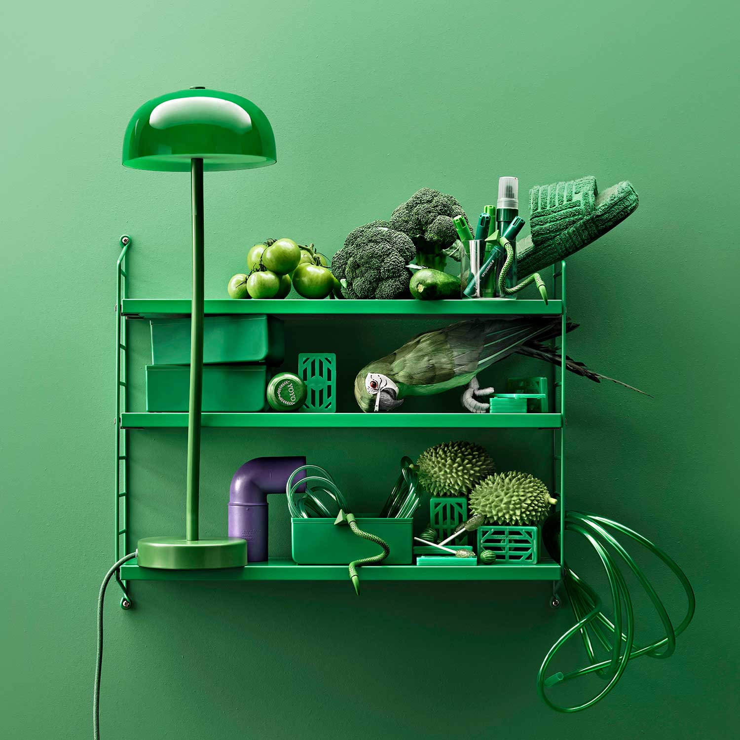 string pocket green regalsystem 89651