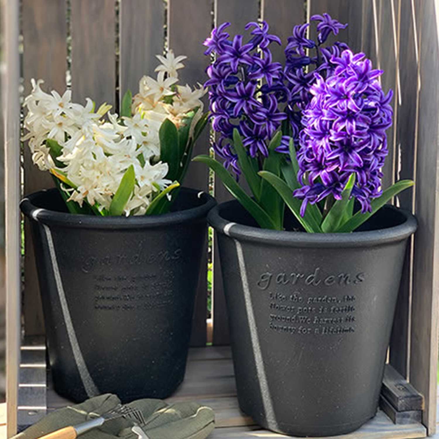 Hachiman - Eco Pot Round Type #8 senf