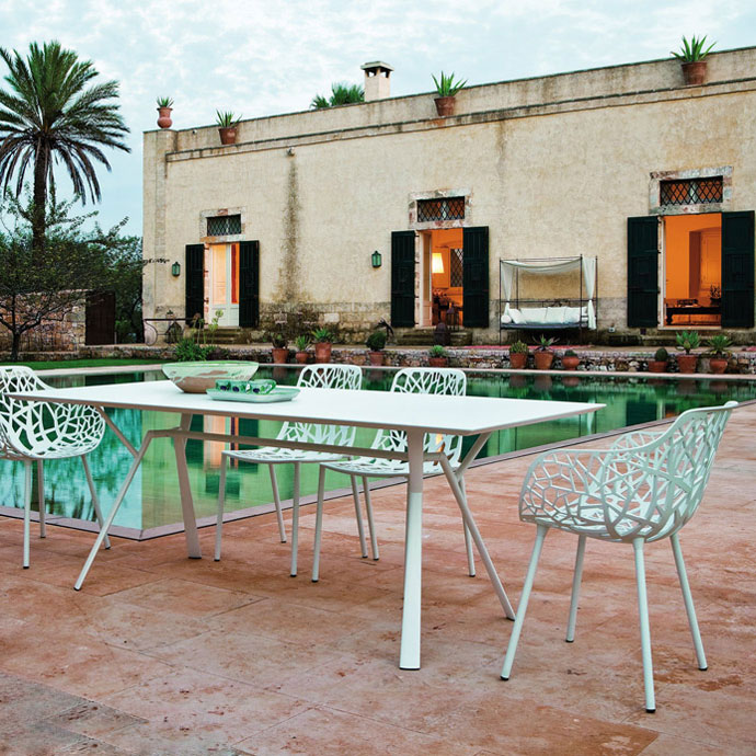 weishaeupl Forest 17302