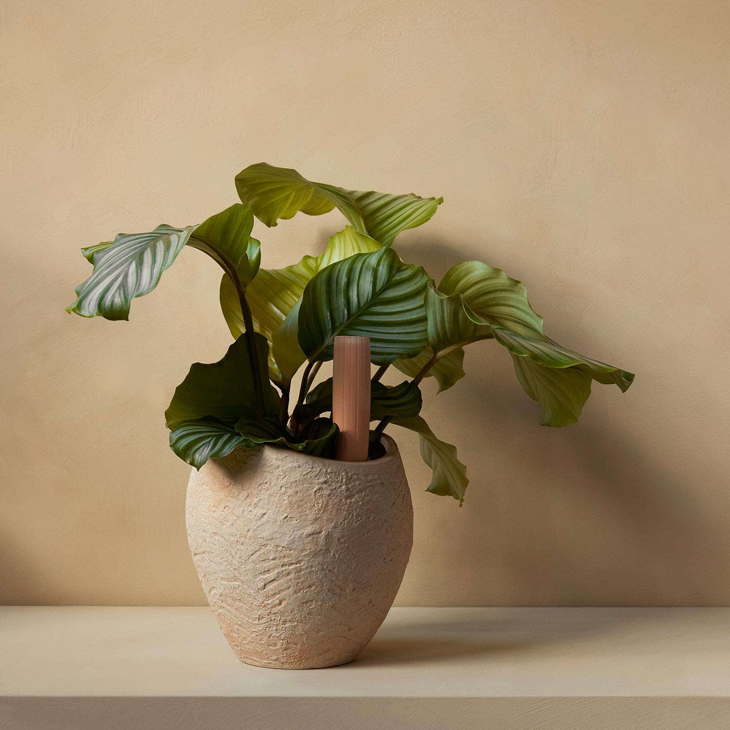 menu hydrous bewaesserungsstab blumentopf fensterbank 92967