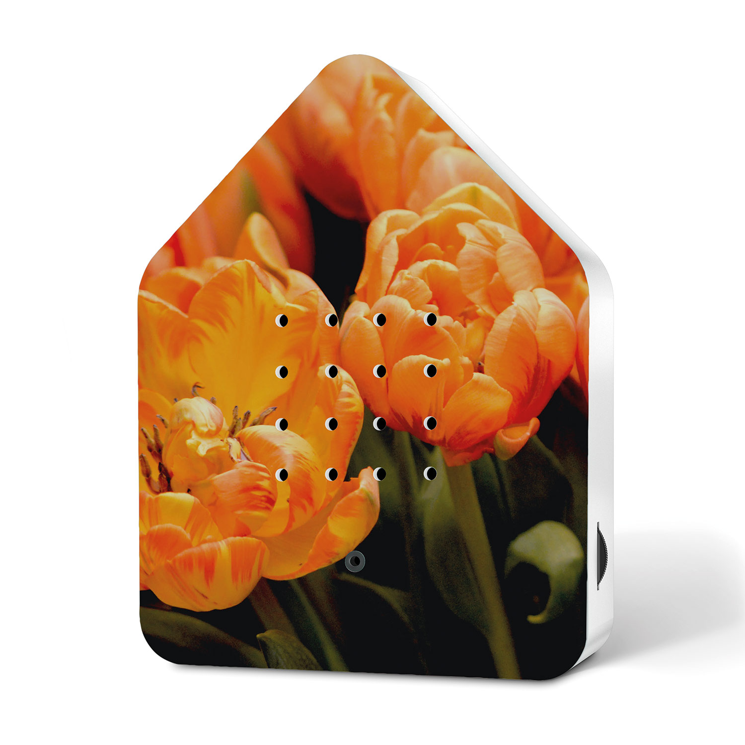 relaxound zwitscherbox blossoms edition apricot star 90140