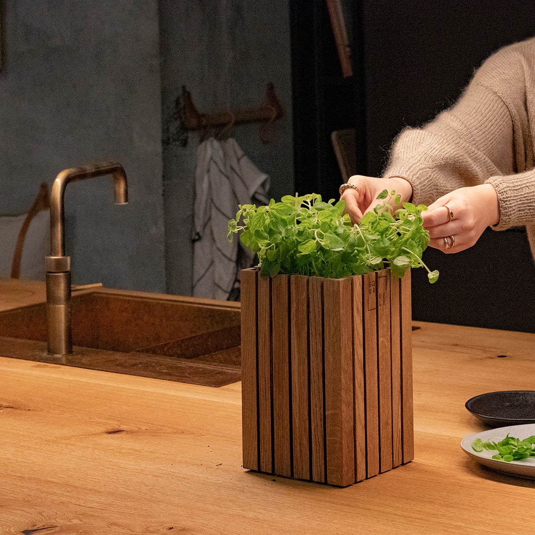 squarely grow small blumentopf kuechenkraeuter 77214