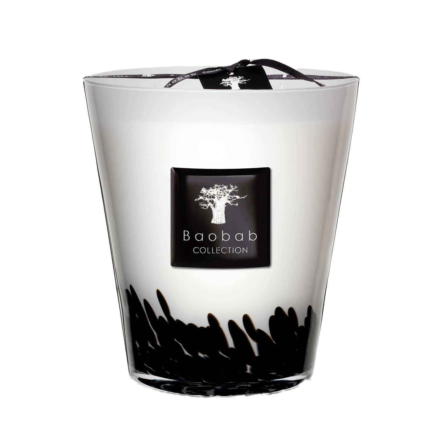 Baobab Feathers Max 16 97556