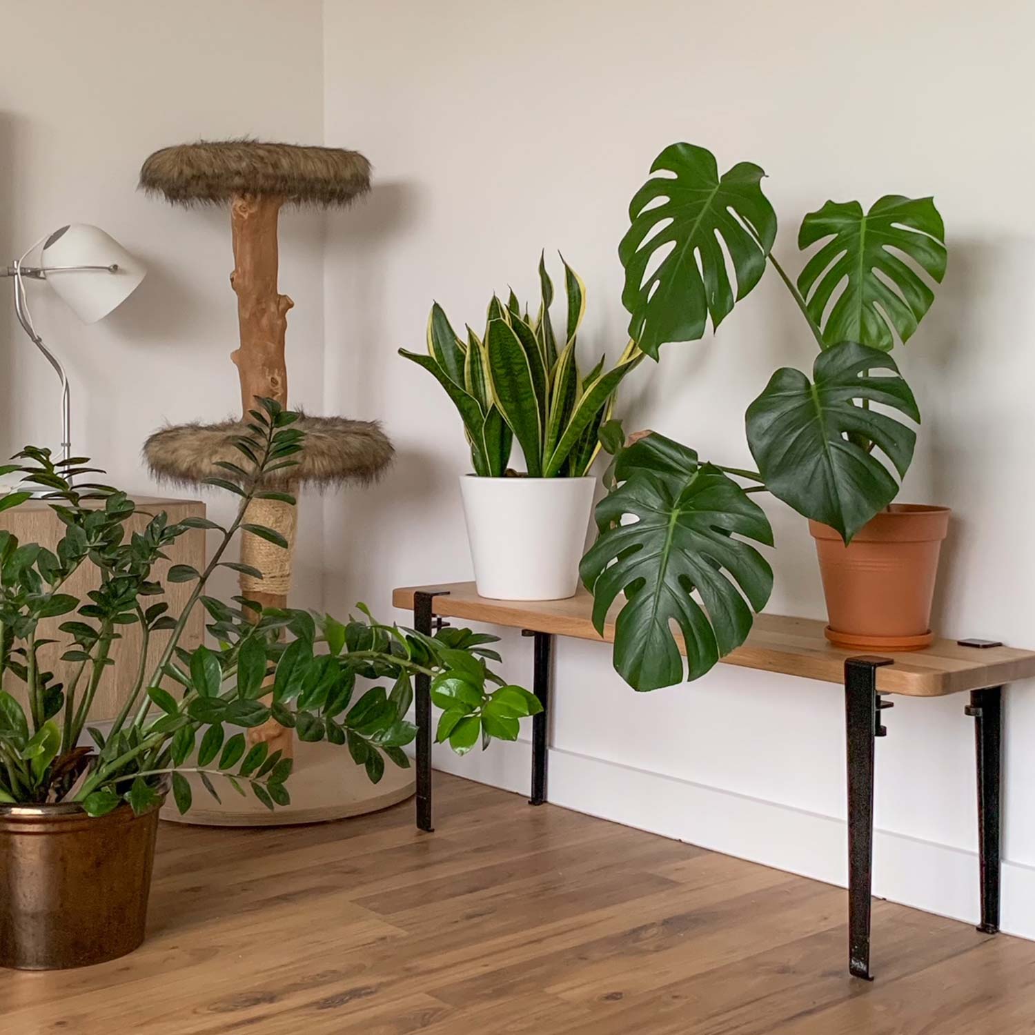 Tiptoe - Duke Sitzbank Eiche eukalyptusgrau