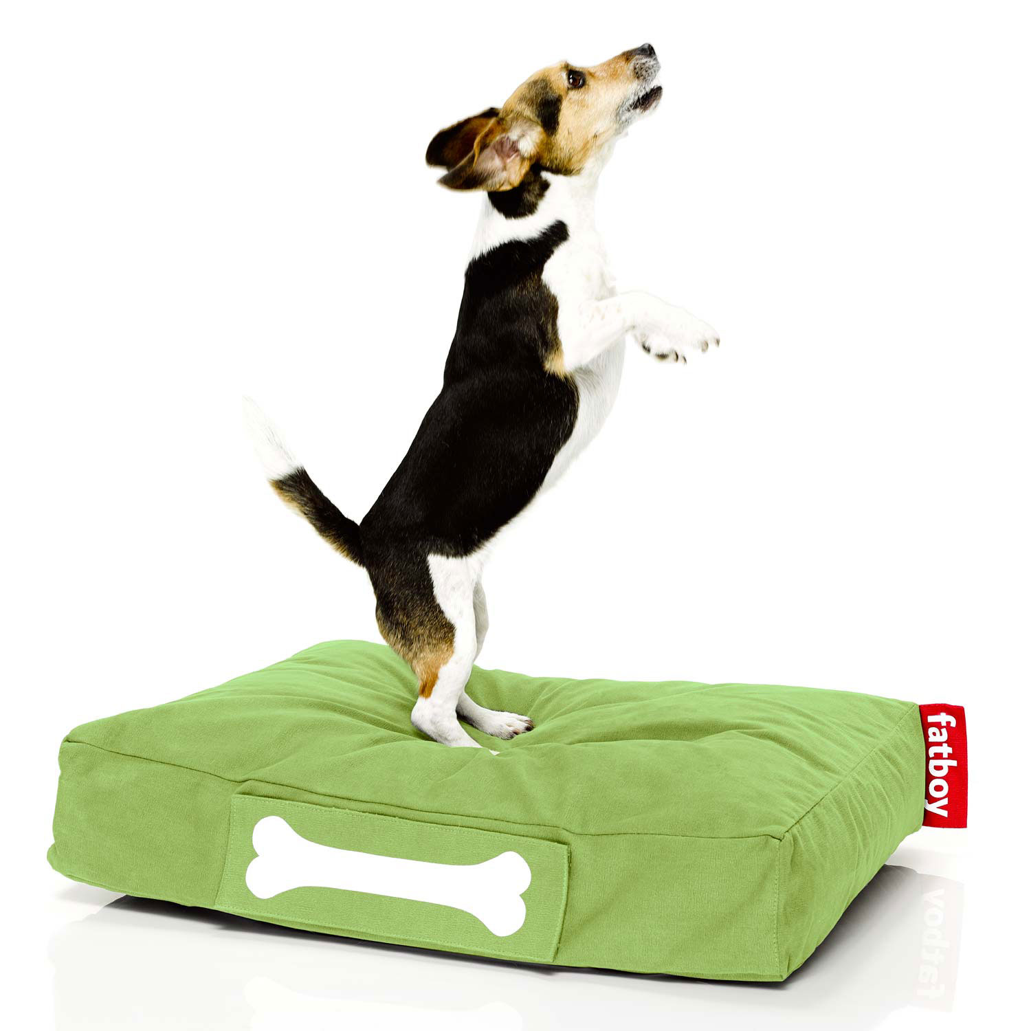 fatboy Doggielounge limegreen small  2 21987