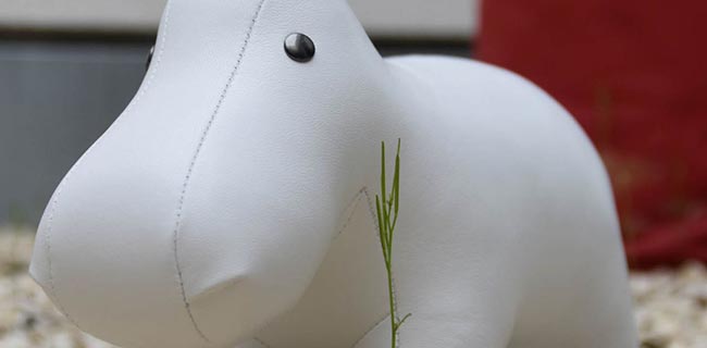 Züny Hippo Buchstütze