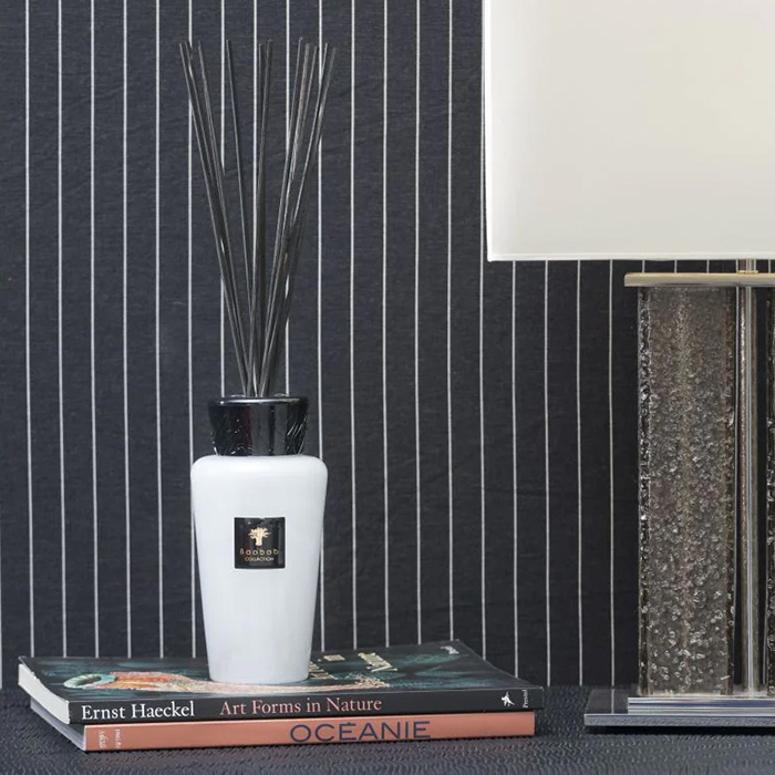 Baobab Raumduft Pierre de Lune 97743