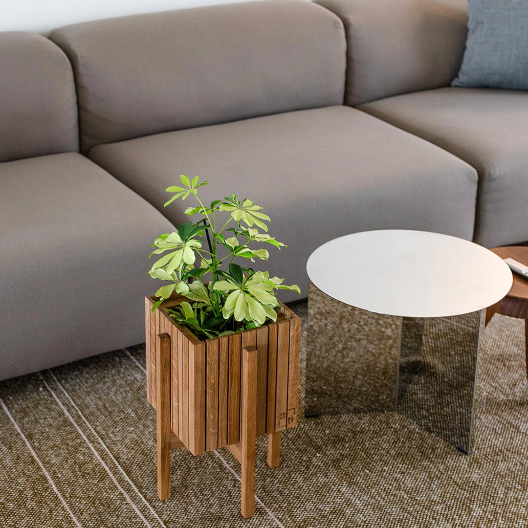 squarely grow on gestell stand on 77264