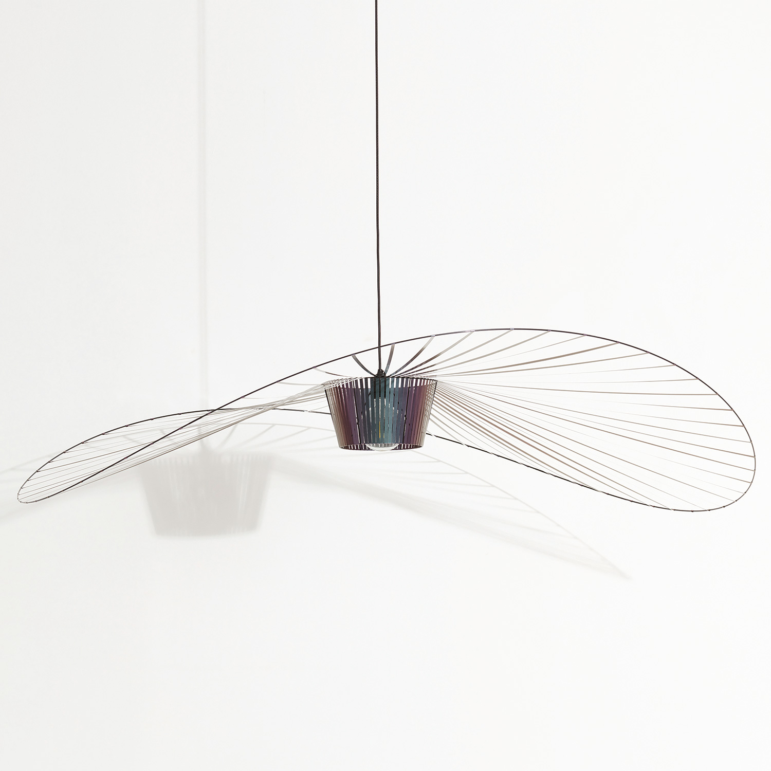 petite vertigo large irise L0020110