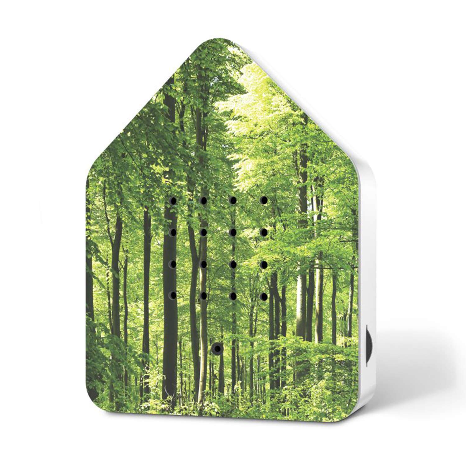 relaxound zwitscherbox wald 67850