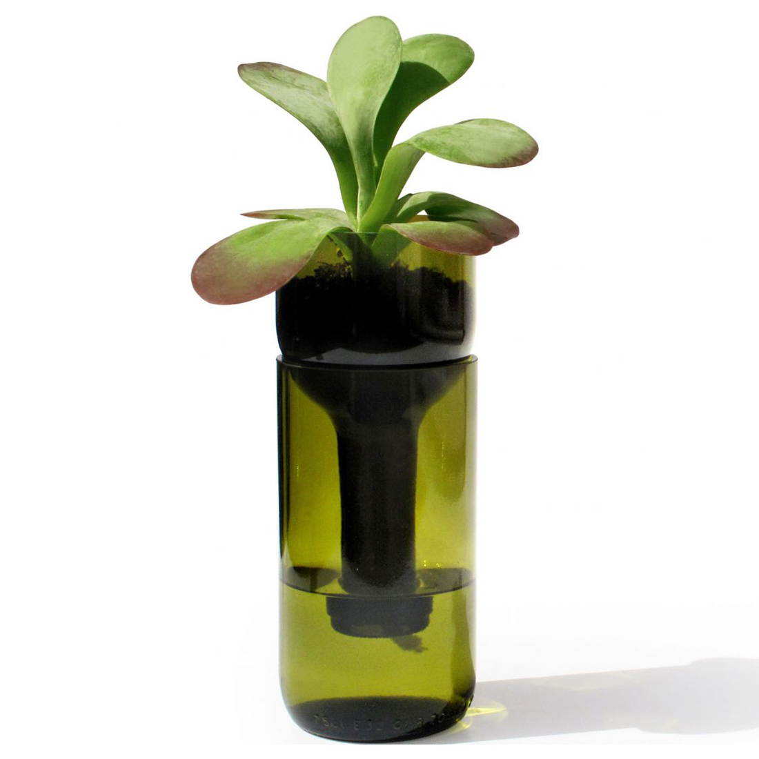 side by side self watering bottle gruen 51831