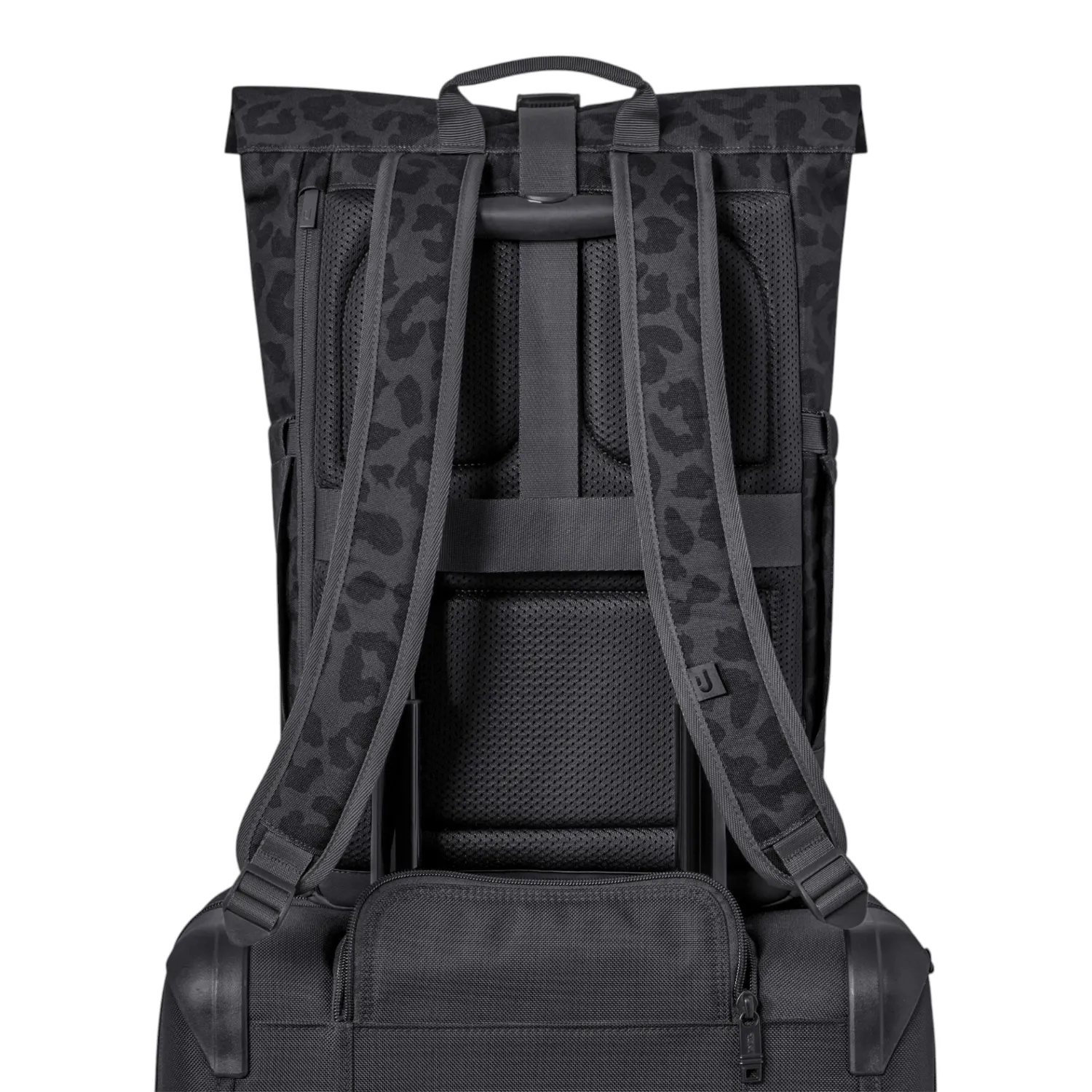 Johnny Urban - Luca Medium Rolltop Rucksack grey leo