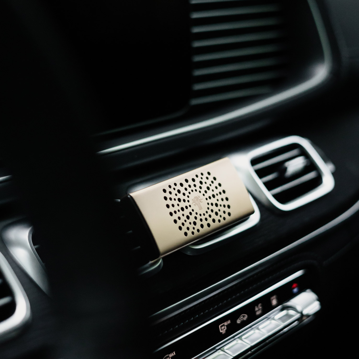 Baobab Collection - Car Diffusor black pearls