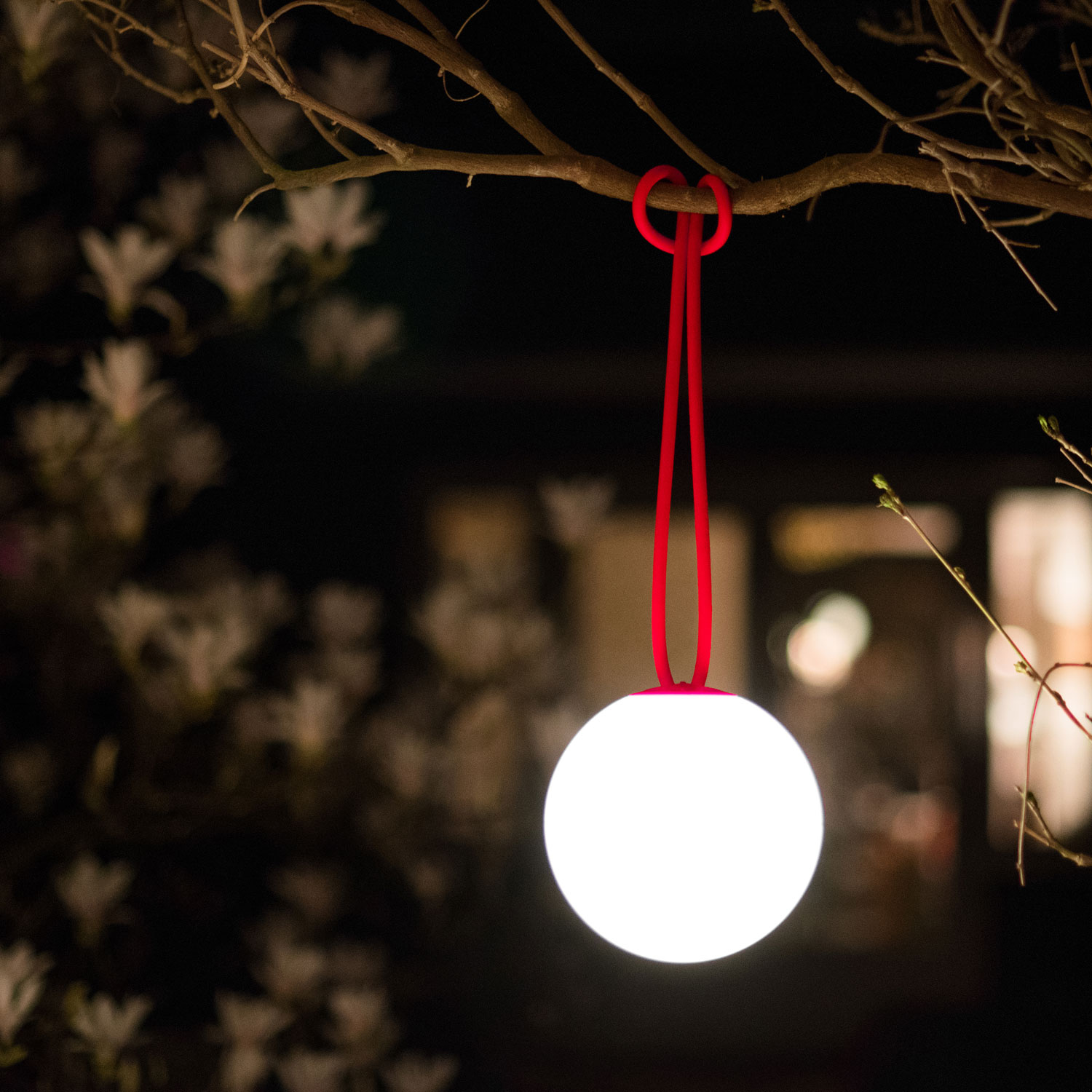 Fatboy Bolleke evening