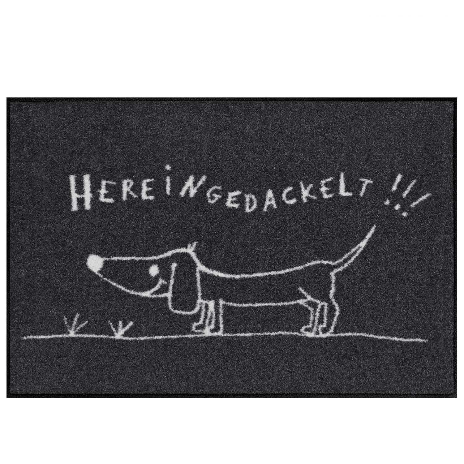 Salonlöwe - Hereingedackelt 50 x 75 cm Fußmatte