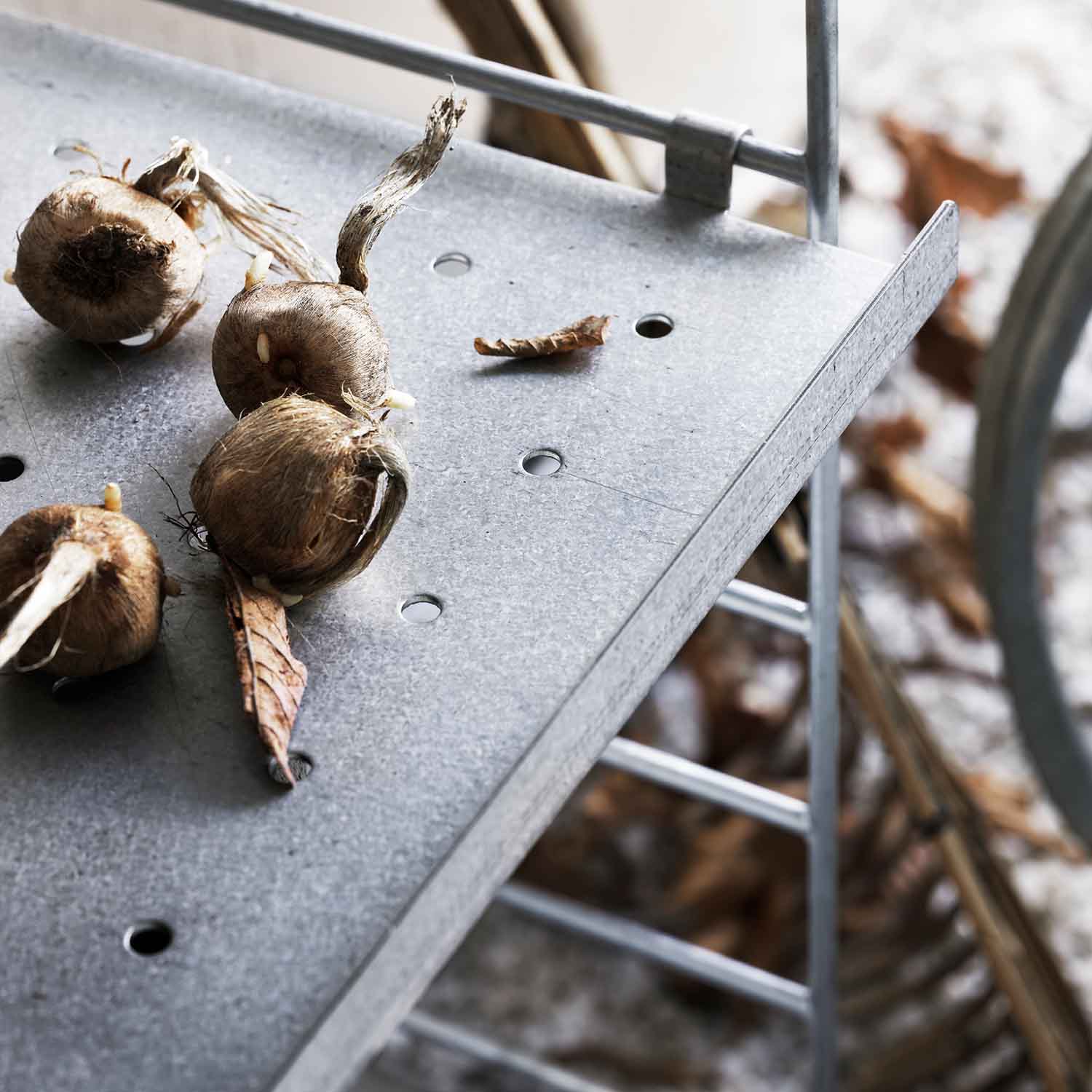 Outdoor String Wandregal Nahansicht