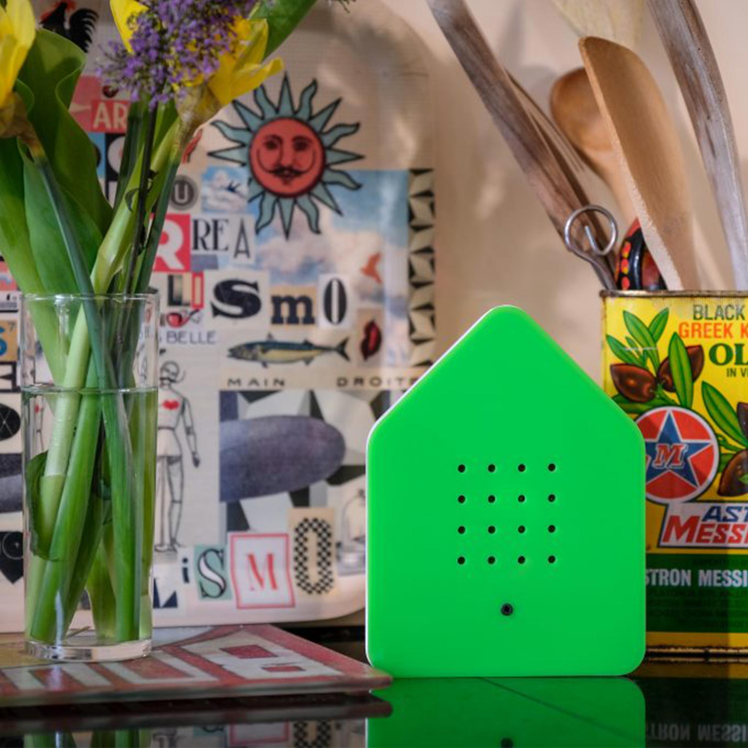 relaxound zwitscherbox klassik gruen vogelgezwitscher 67837