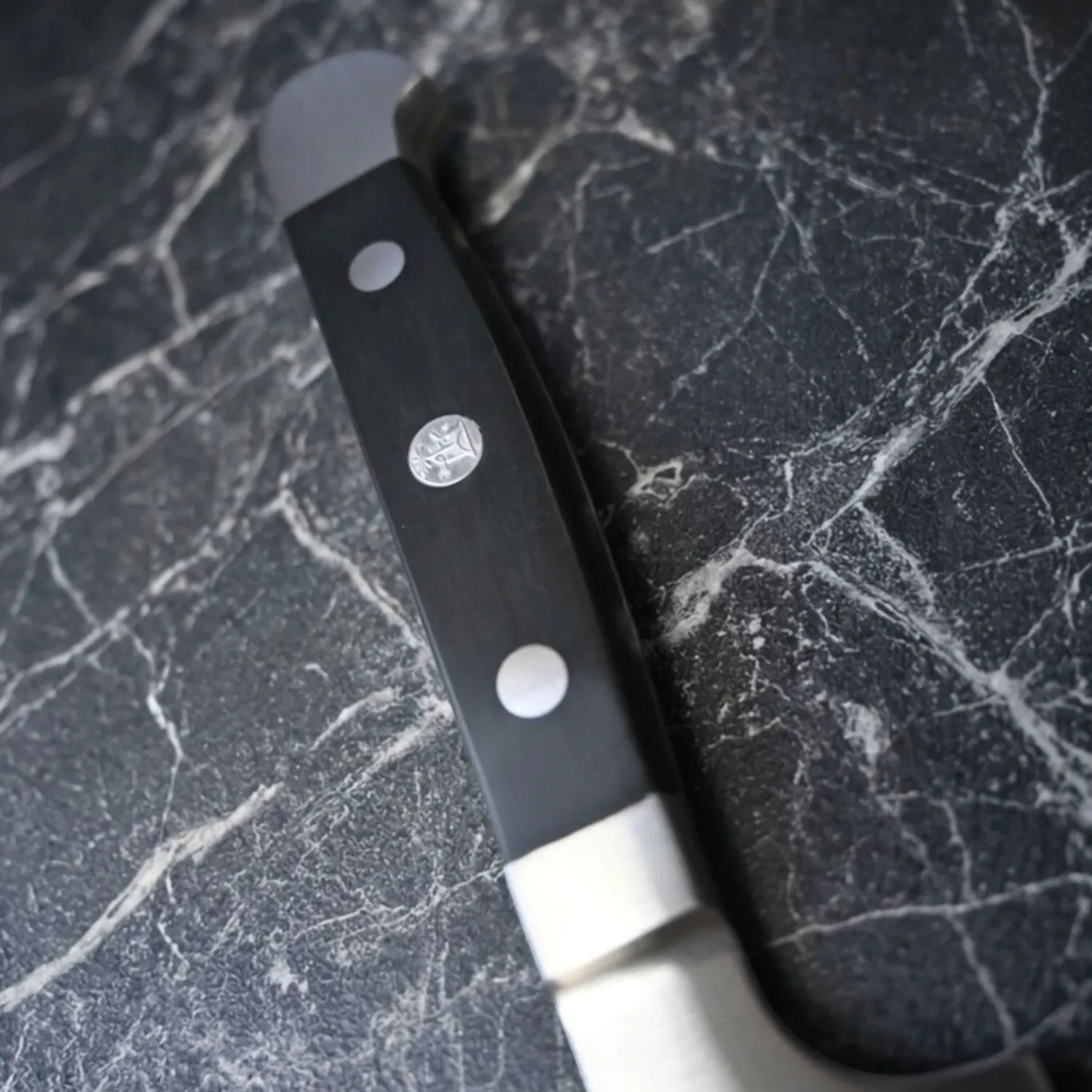 Güde - Kiritsuke Kochmesser 21 cm Serie Alpha