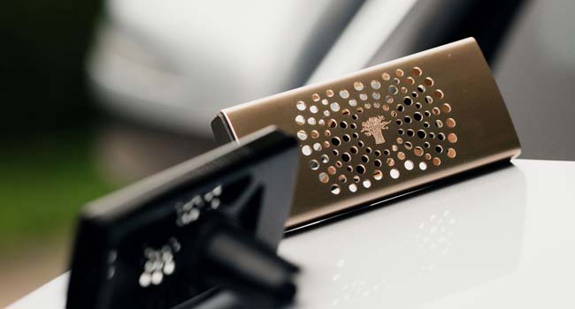 Baobab Raumduft Car Diffusor Platinum