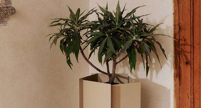 Ferm Living Blumentopf Fragma Pflanzgefäß mit Pflanze
