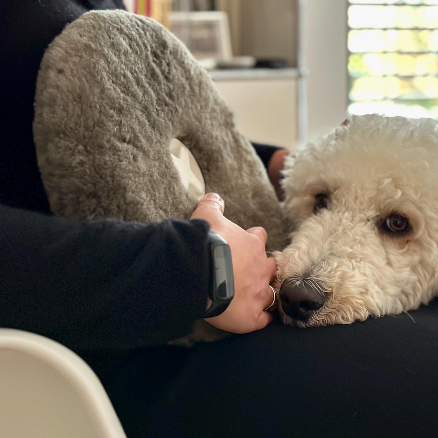 authentics PILL Wrmflasche schaffell anthrazit mit hund 106654