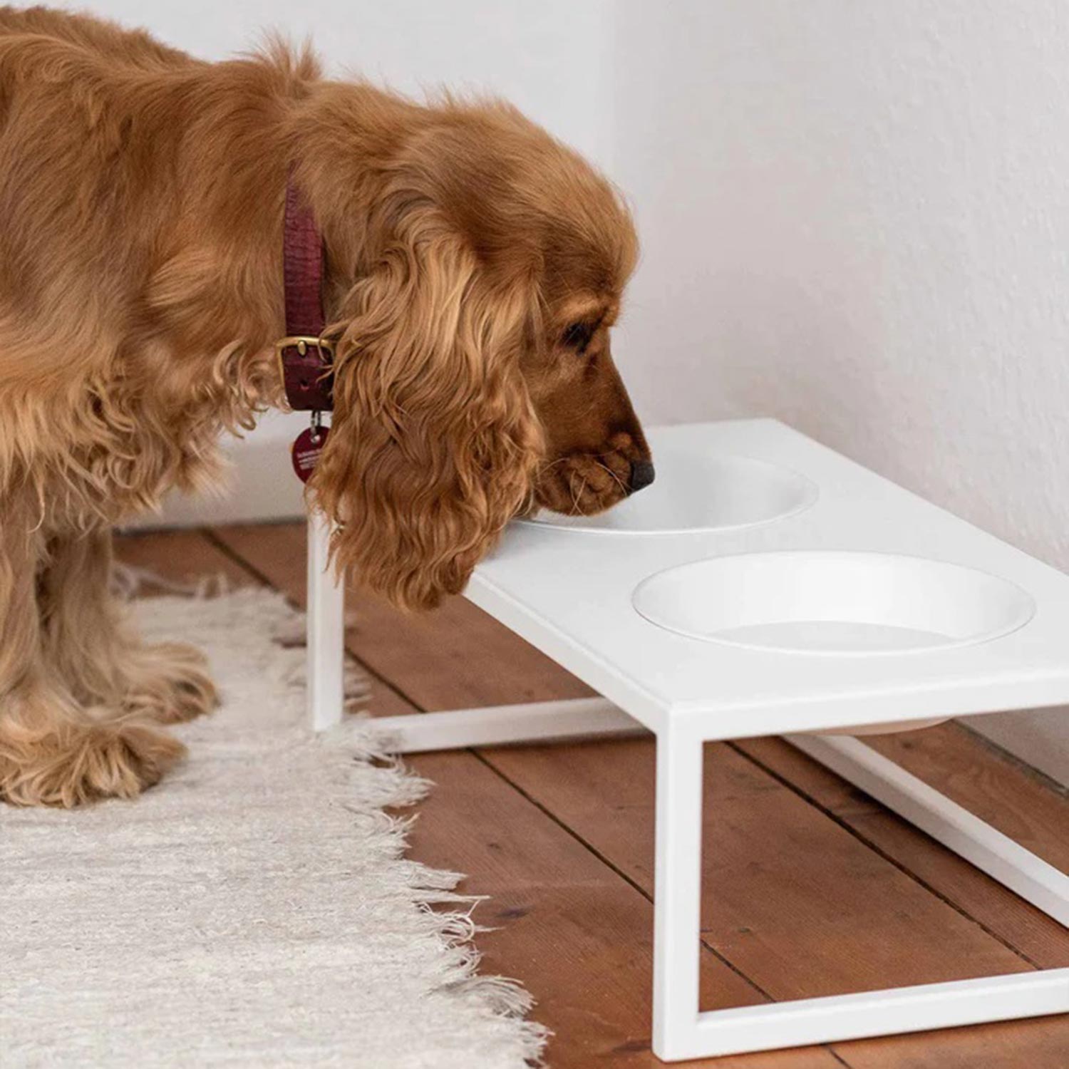 metallbude mika futterstation mittel weiss hund 96680