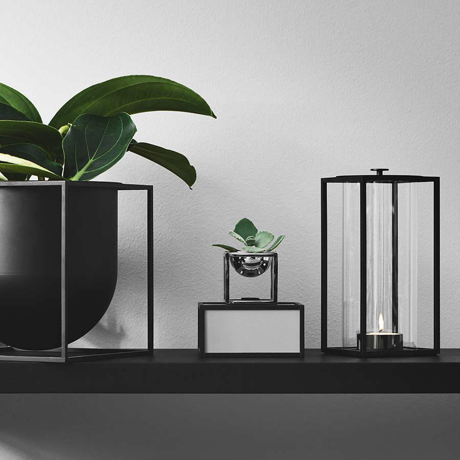 by lassen light in lampe kubus pflanze