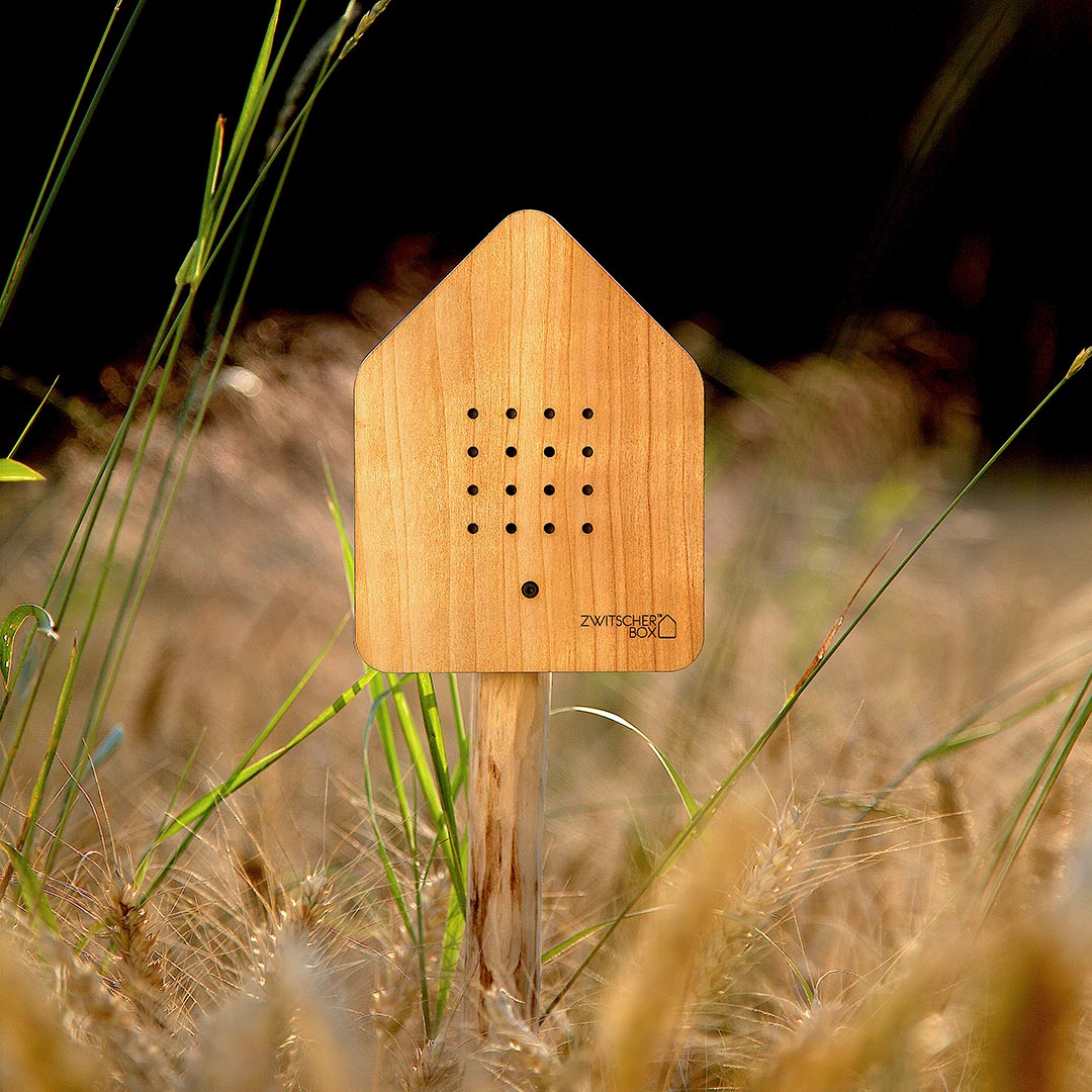 relaxound zwitscherbox holz kirsche 67862