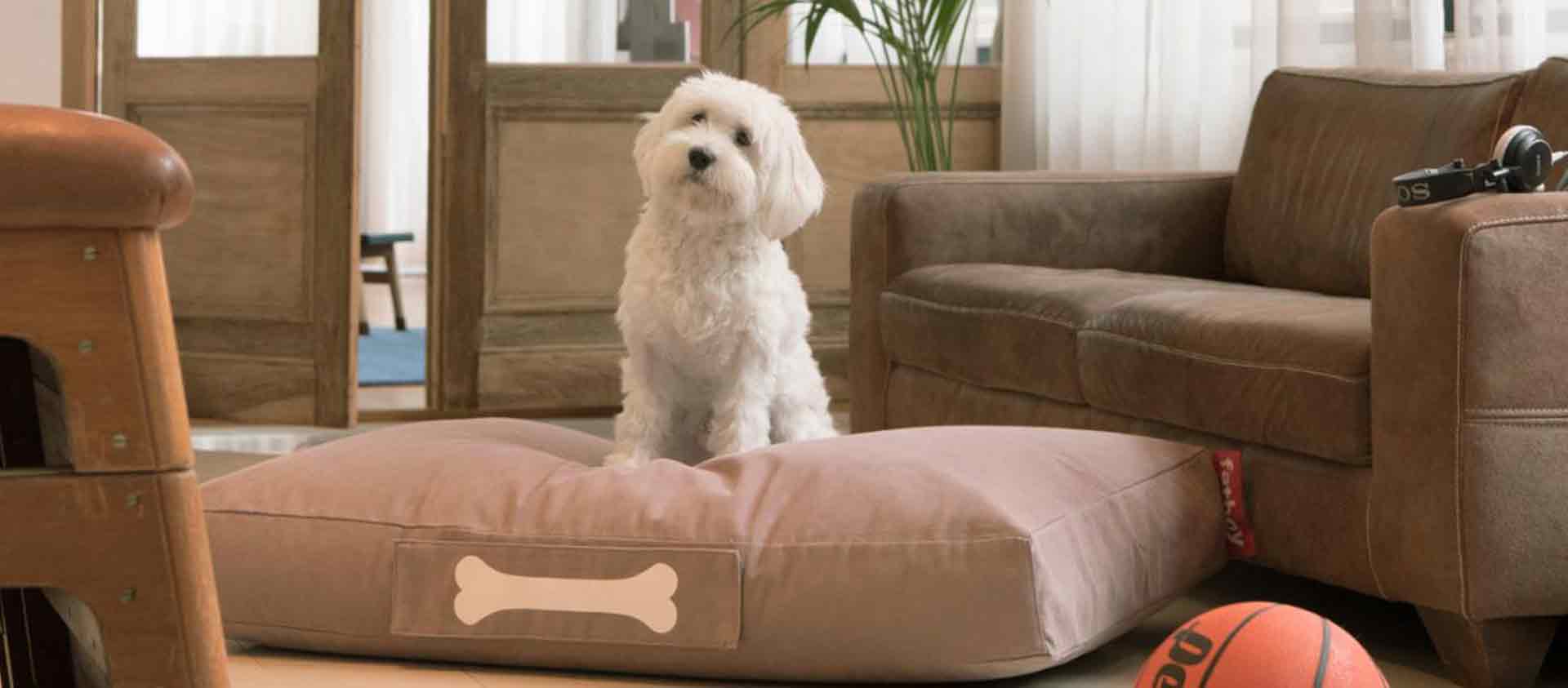 Kategorie Headerbanner Marken Fatboy Hundekissen