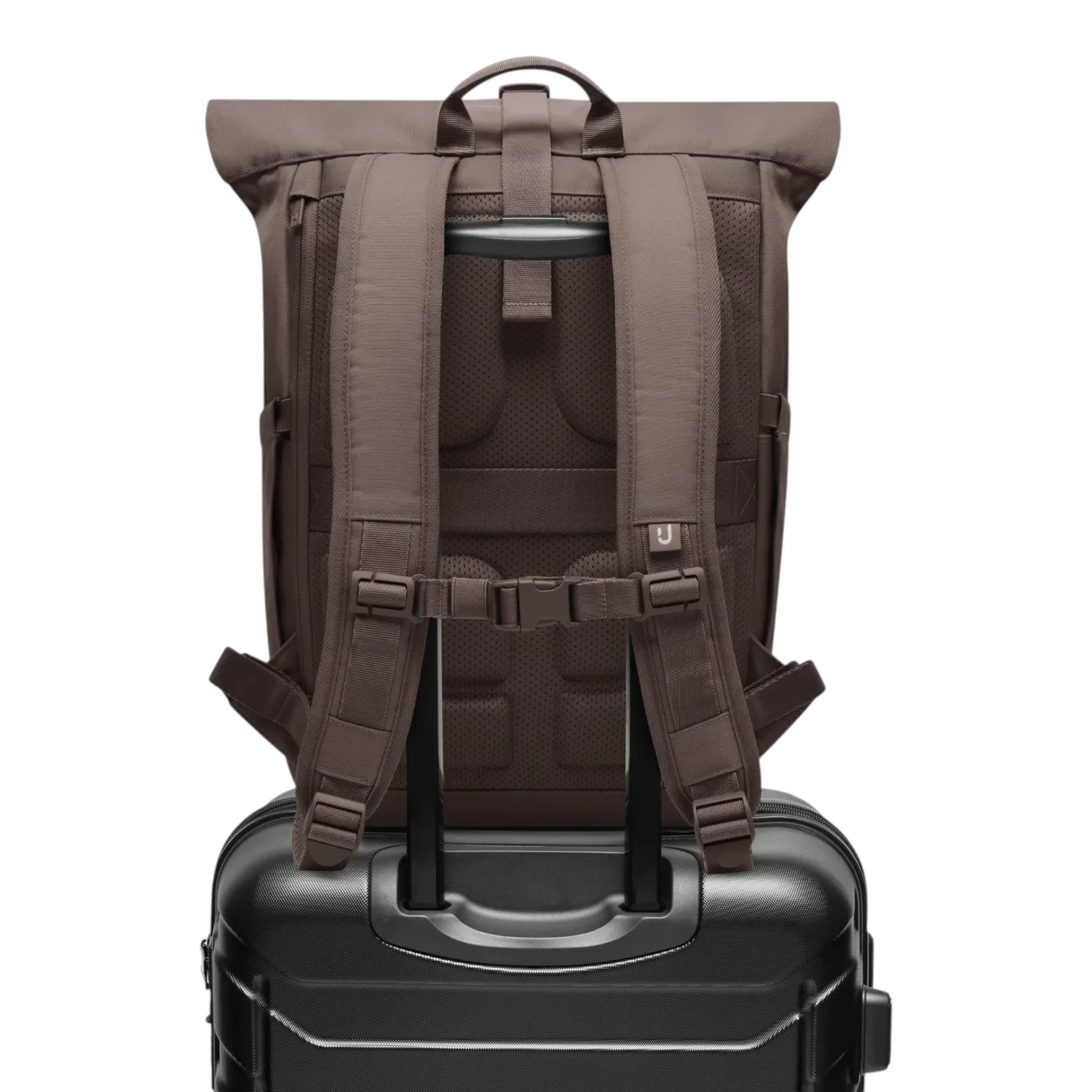 Johnny Urban - Allen Medium 2.0 Rolltop Rucksack brown