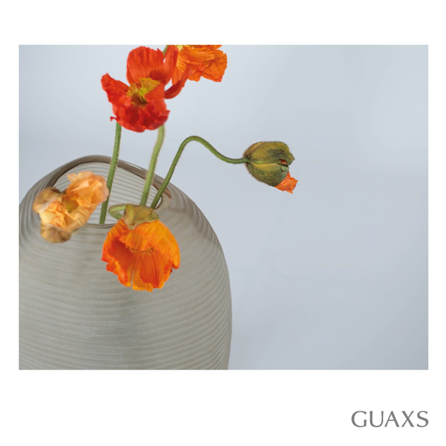 guaxs patara vase smokegrey 73688