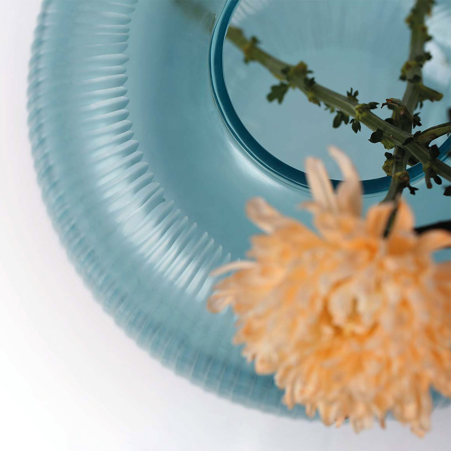 guaxs pinara vase close up freisteller 88619