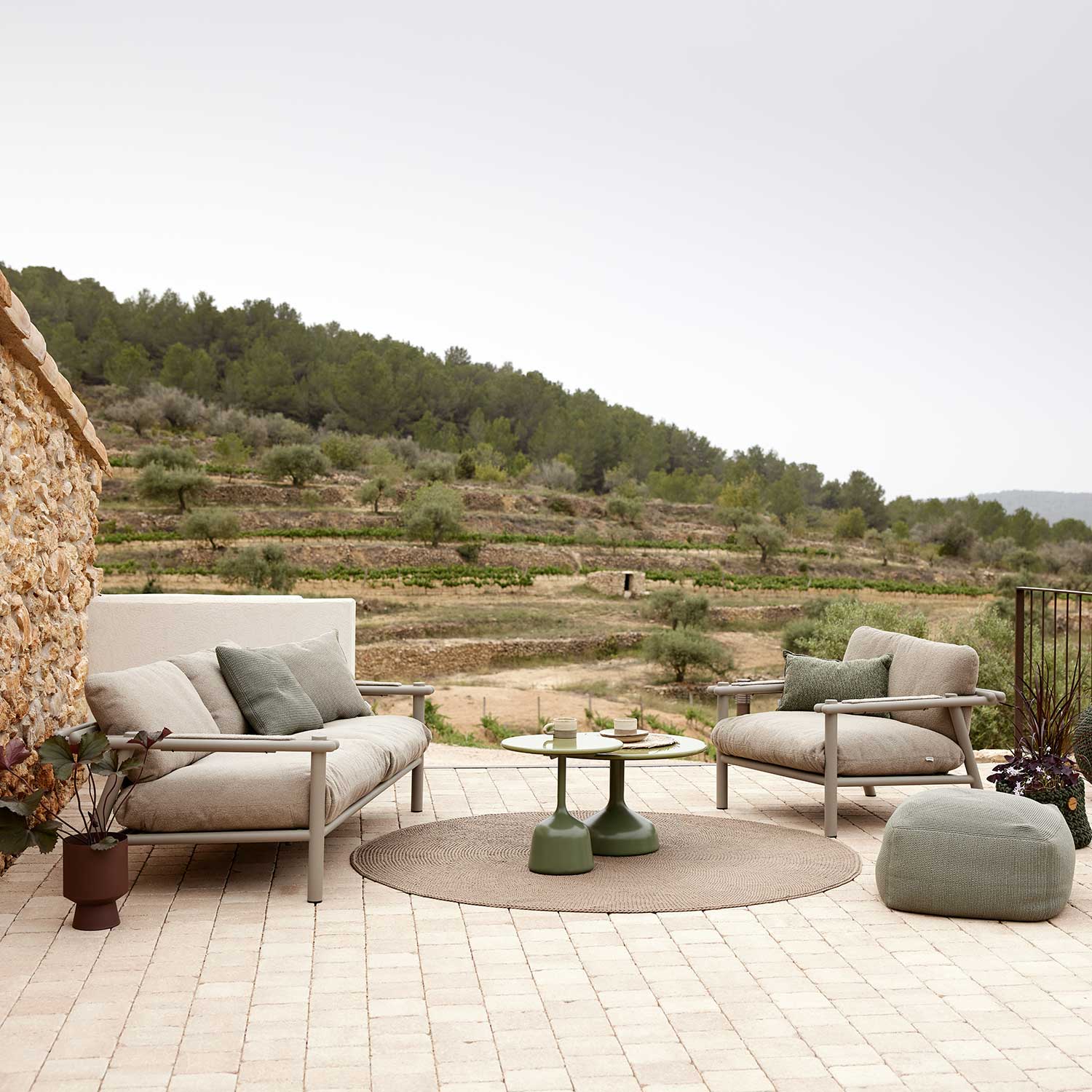 sticks lounge cane line 98666