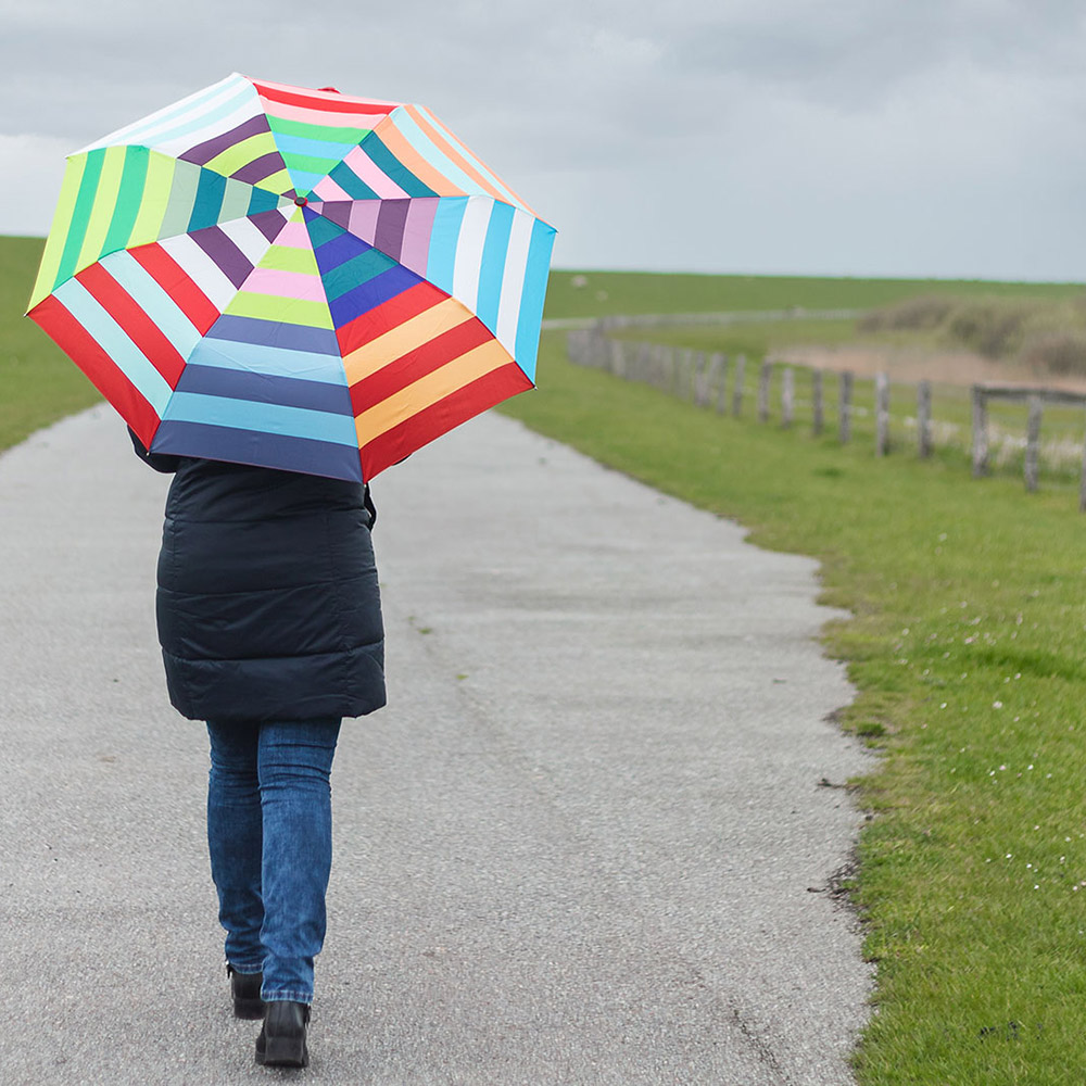 taschenschirm allegra remember 74330