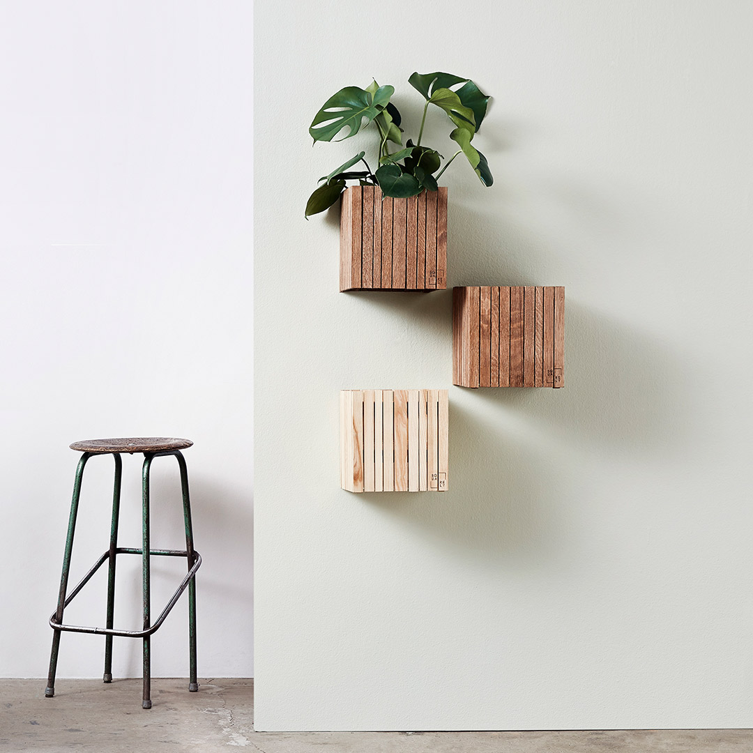 squarely growon wall 77488