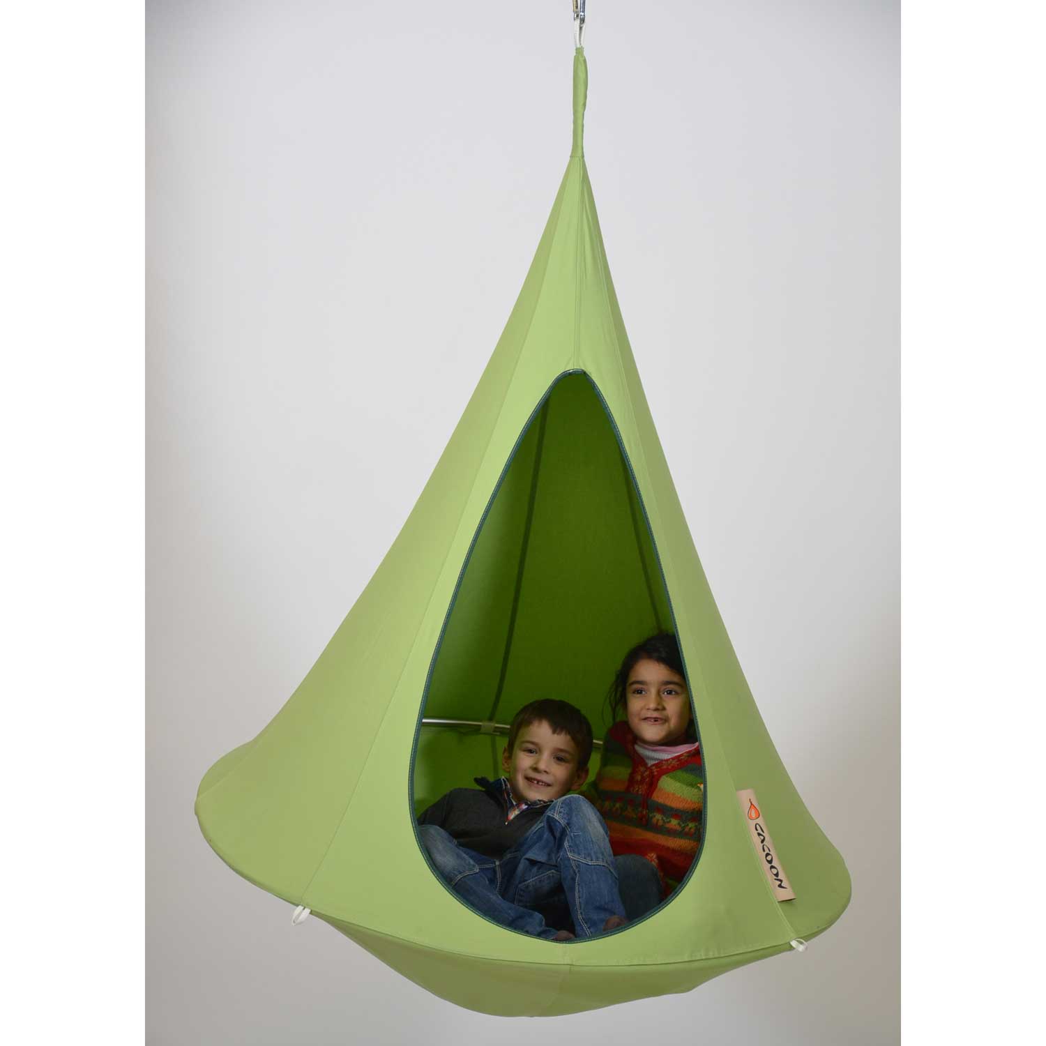 cacoon bonsai leaf green 2 24457