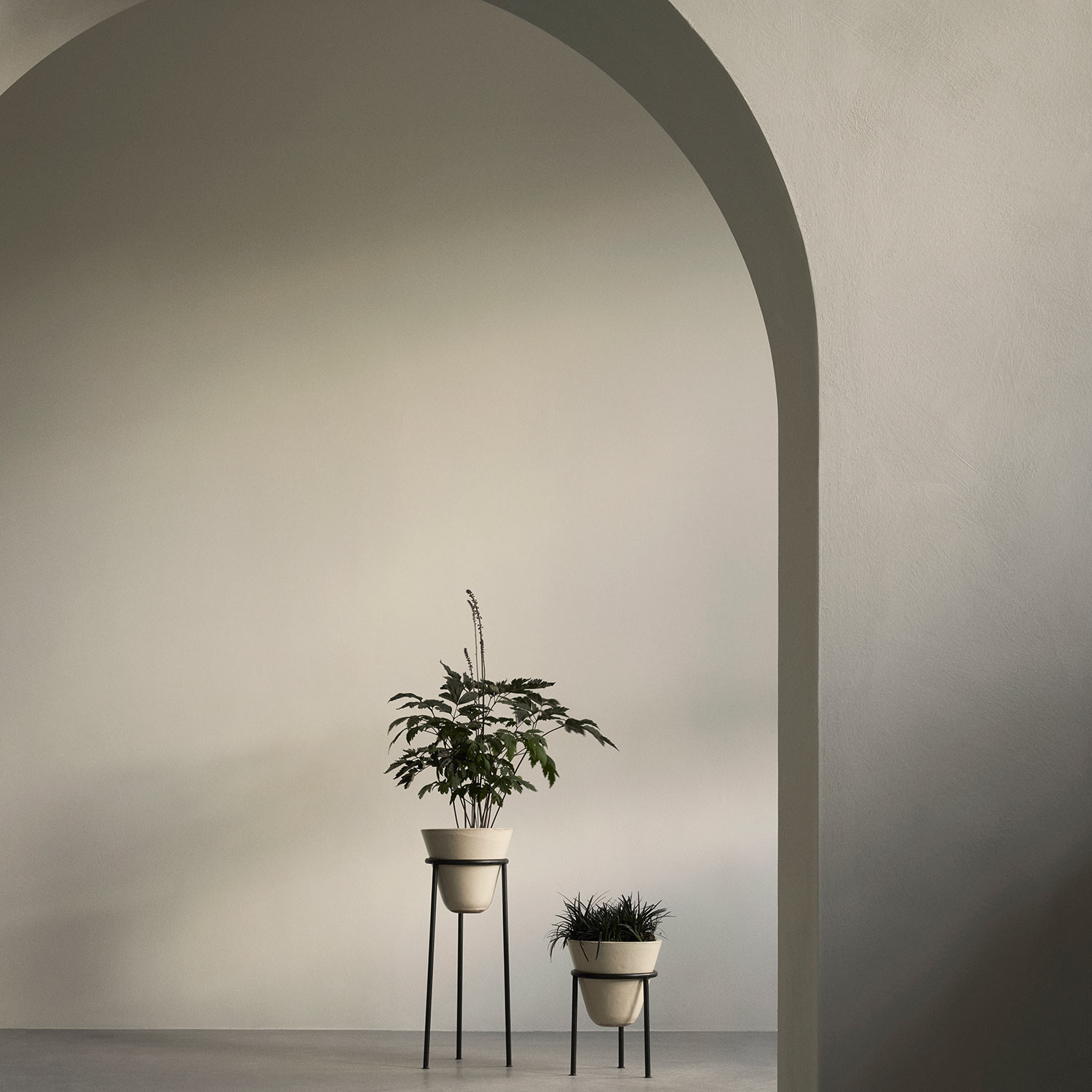 menu daiza pflanztopf uebersicht pflanzen 92921