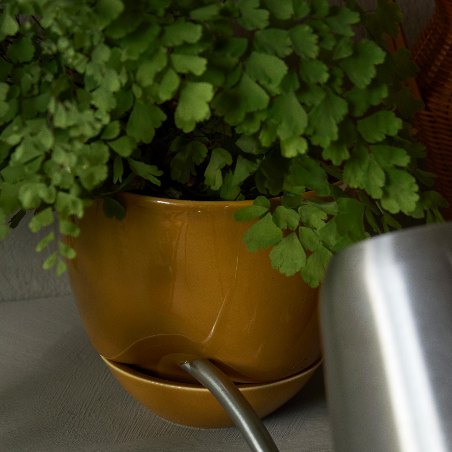 menu hydrous blumentopf ocker klein giessen 92979