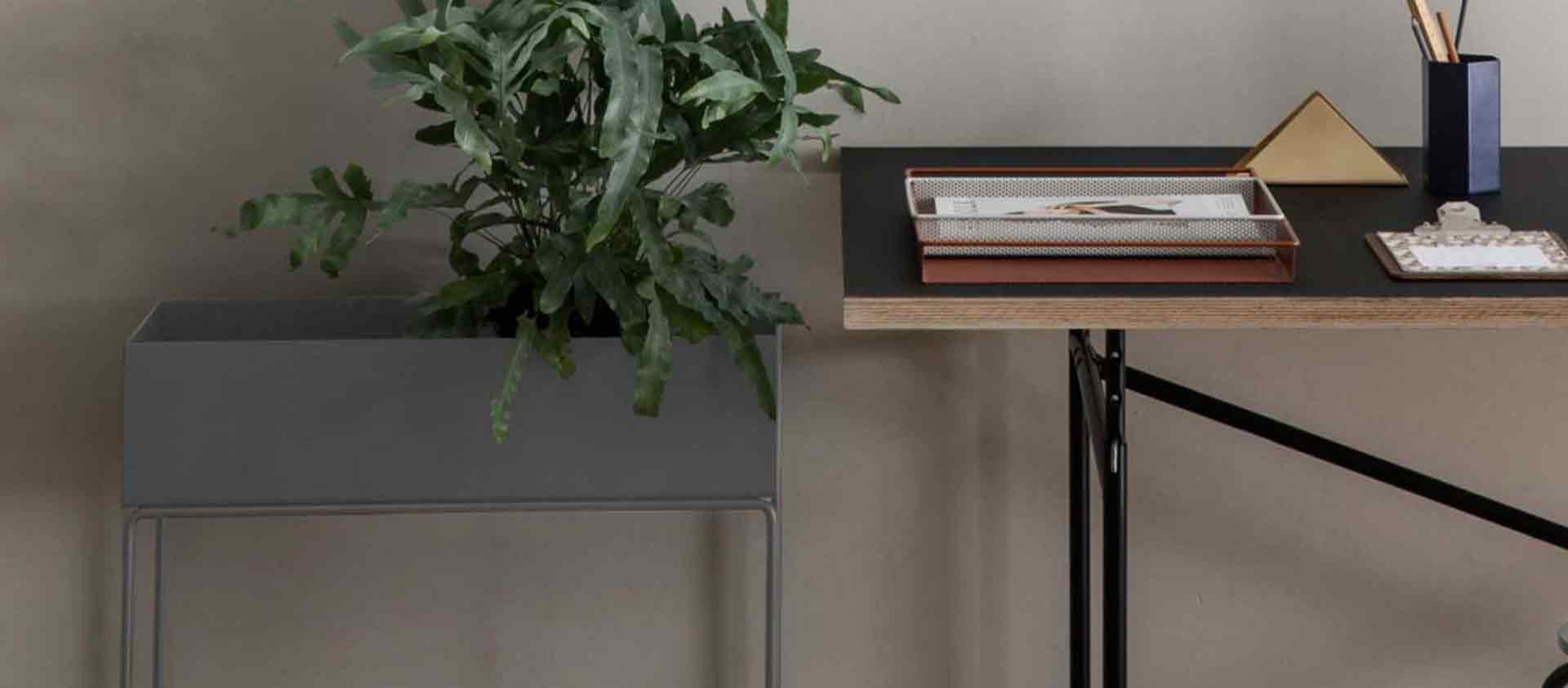 Kategorie Headerbanner Marken fermLiving Plantbox