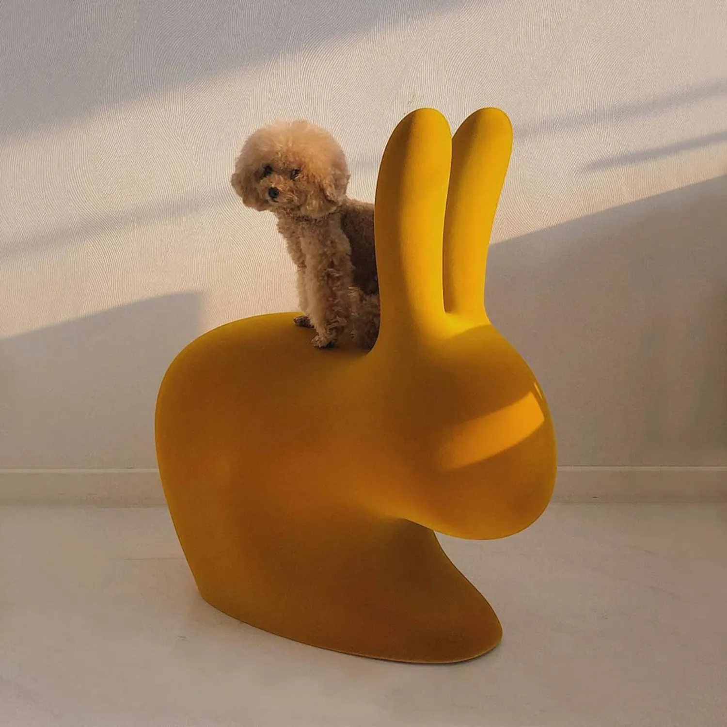 Qeeboo - Rabbit Stuhl Velvet Finish dark gold