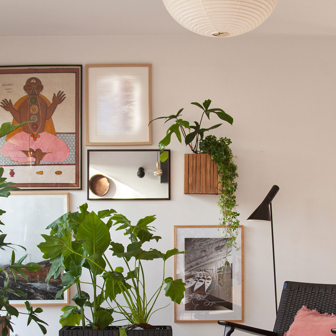 squarely growon wall selbstbewaesserung 77486