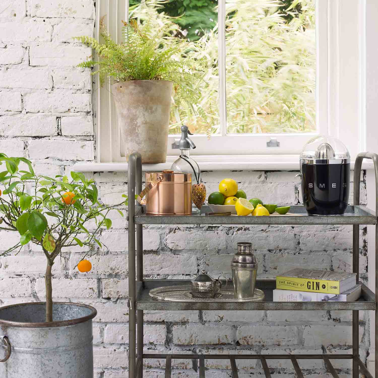 Ambiente draussen smeg Zitruspresse CJF01