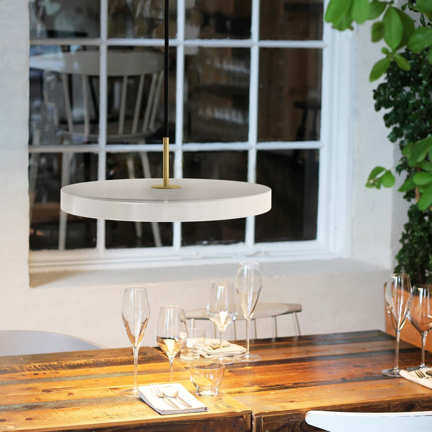 vita Asteria pearl 2