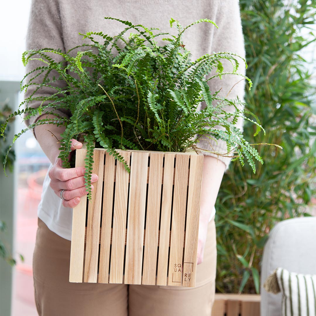 squarely growon 80887